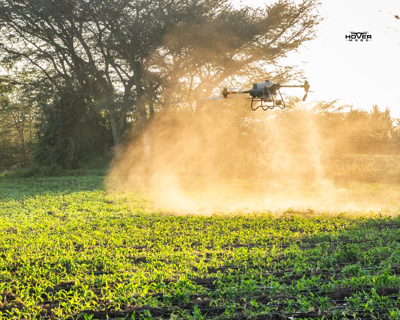 Drone in agriculture